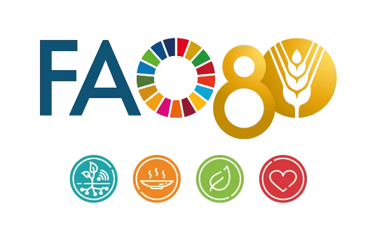 FAO 80